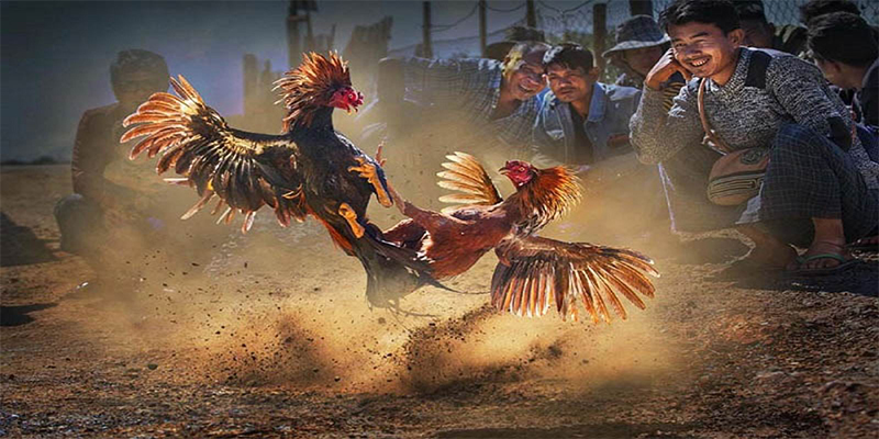 1179king chơi bắn cá đổi thưởng