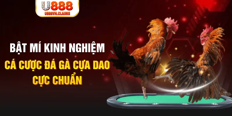 1179king tỷ lệ cá cược châu á là gì
