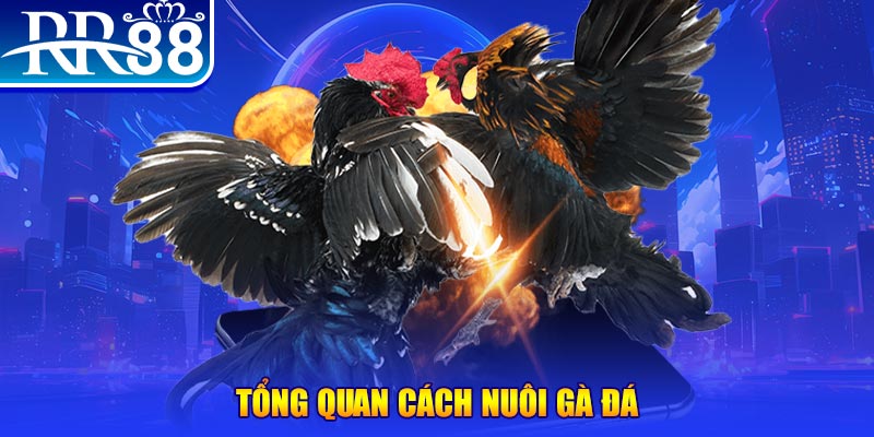1179king VA Điện Tử