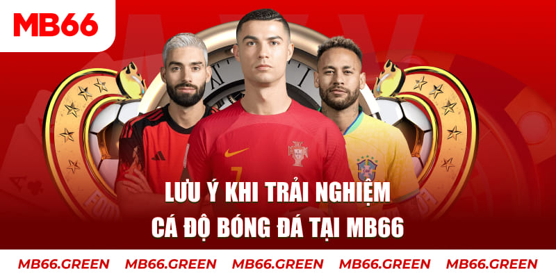 1179king cá cược là gì