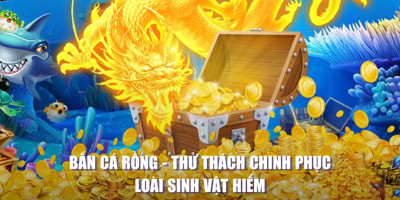 1179king máy slot game là loại trò chơi gì？