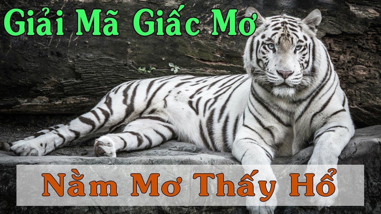 1179king WM Trực Tuyến