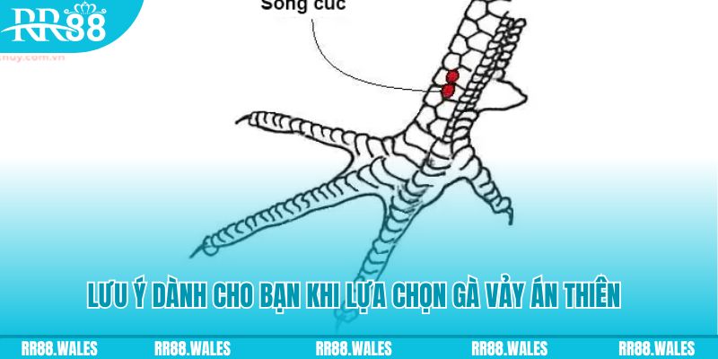1179king xổ số đồng nai