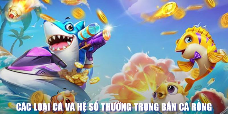 1179king đăng nhập sòng bạc mới nhất