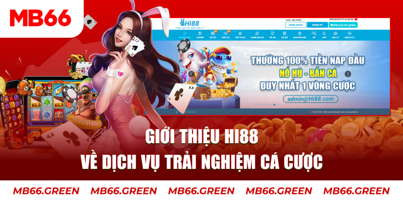 1179king ga choi hoa phong