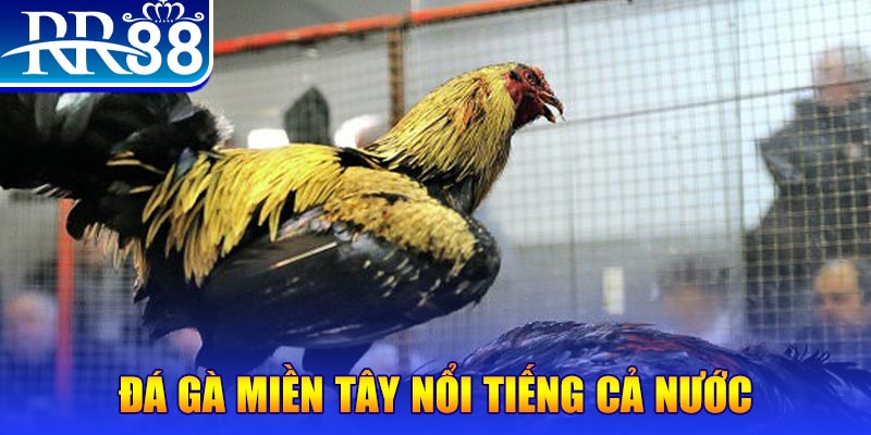 1179king JILI Game Bài 3d