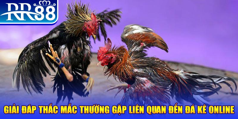 1179king slot machine là gì