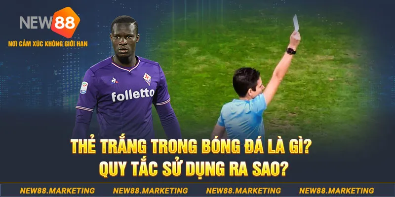 1179king gà chọi mộc hóa