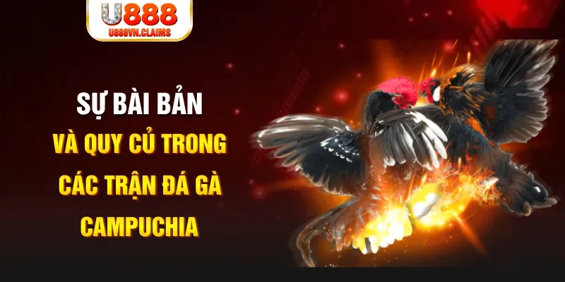 1179king YGR Điện Tử