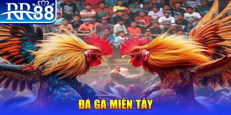 1179king chơi slot là gì