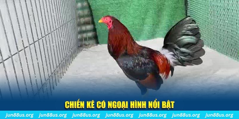 1179king chạy quảng cáo cho game bài bị phạt như thế nào