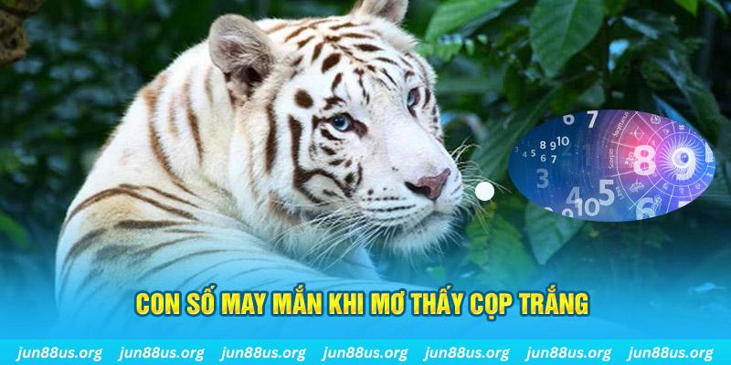 1179king đá gà trực tiếp 88